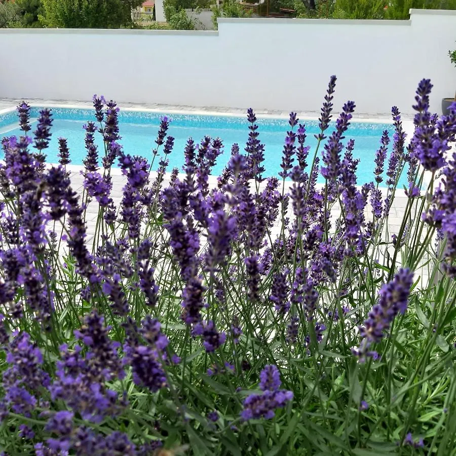 Privatunterkunft Villa Silver Starigrad Paklenica Kroatien